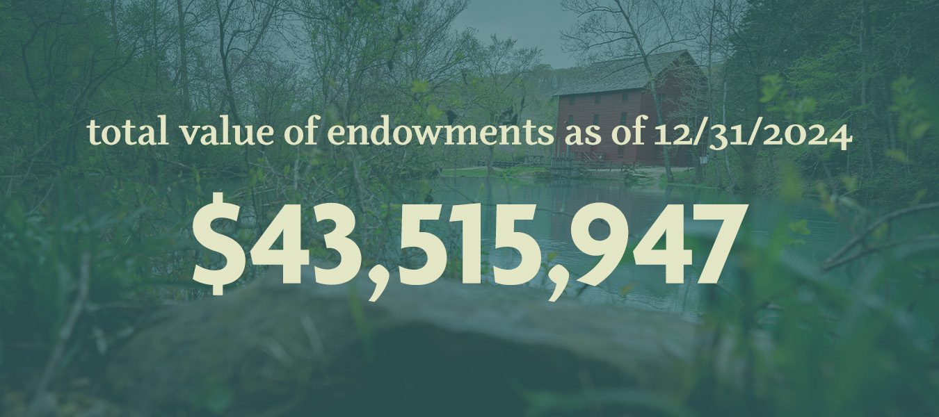Total Endowments 2024