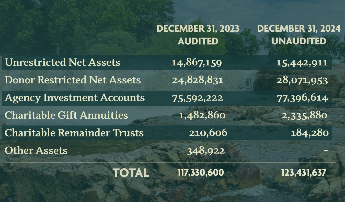 Assets Under Management 2024
