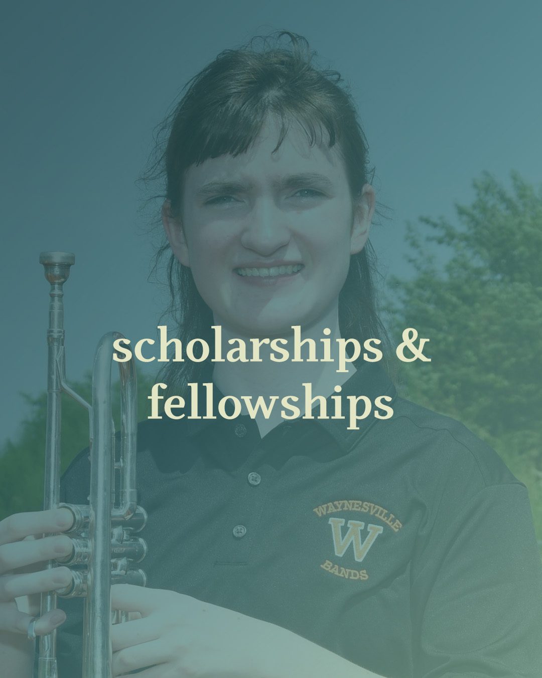 Scholarships And Fellowships 2024